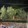 emergenza macerie 003